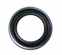 Rod seal carburetor